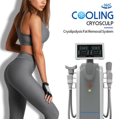 Cryolipolysis Machine Fat Freezing Slimming Machine 5 Manica 360 cryo riduzione del grasso