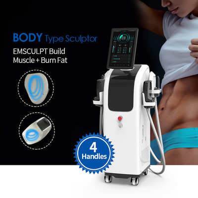 Neo  Ems Machine Beauty MuscleInstrument Professionista