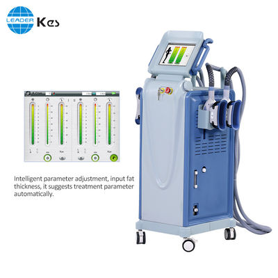 Macchina di criolipolisi RF Cryolipolysis Vacuum Slimming Device