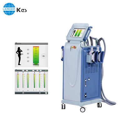 Macchina di Cryo Lipolysis per la perdita di peso con doppia piastra di raffreddamento