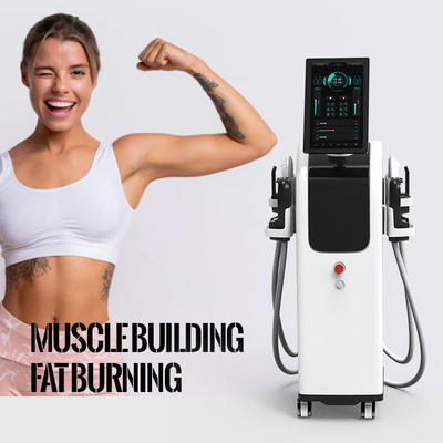 SME certificato Ce che scolpisce il professionista automatico dello strumento del muscolo di bellezza di  della macchina